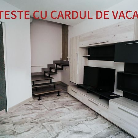 Apartment Attic Sibiu Eksteriør billede